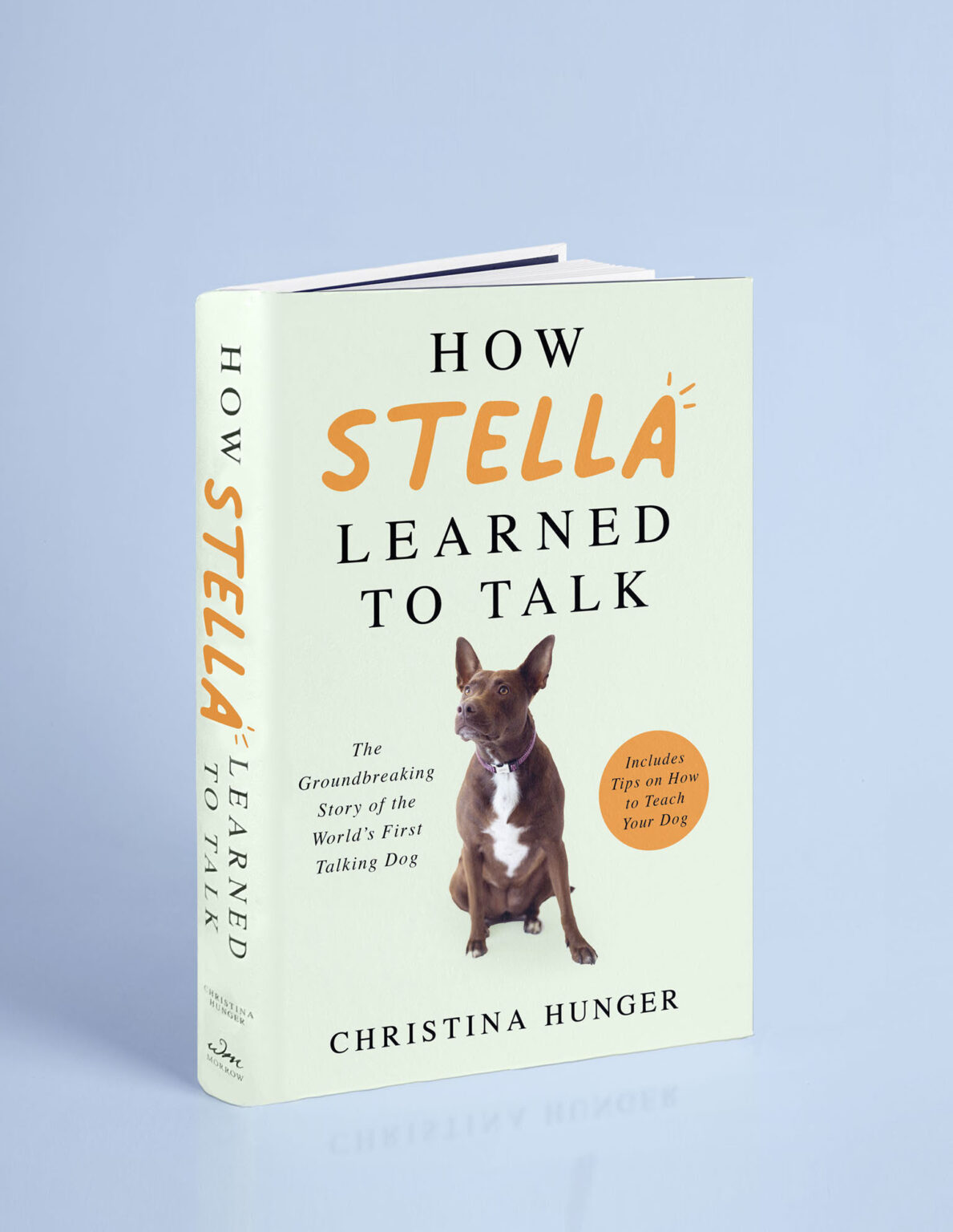 how stella learned to talk book